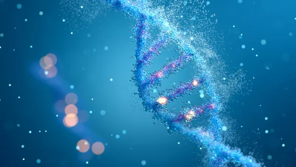 Longevity & Anti-Aging Medicine: A Personalized Approach to Healthspan and Healthy Aging